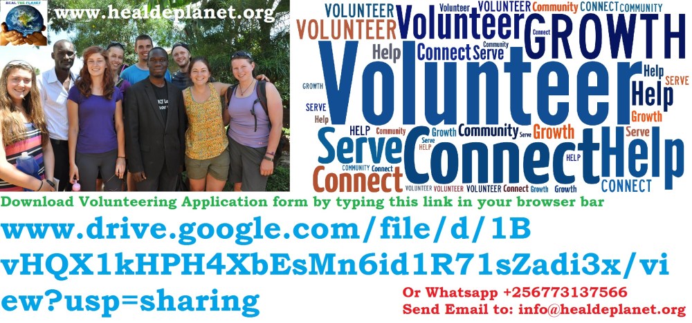 Volunteer with HTP